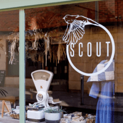 Scout