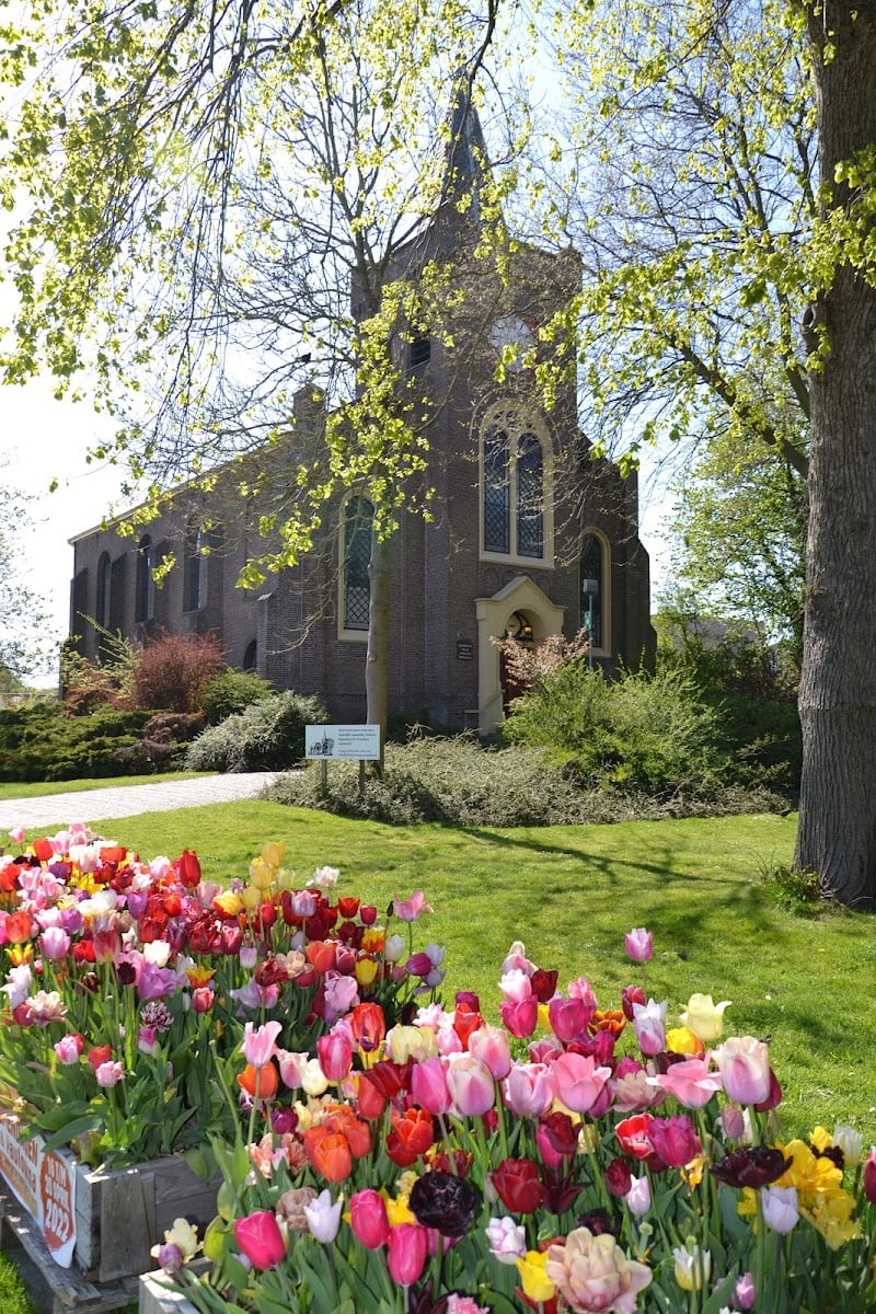Ana Paulovna - Jardin poldertuin