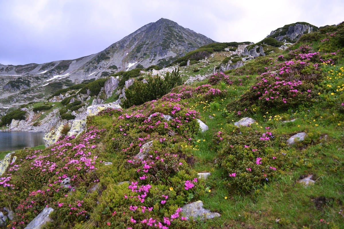 Retyezát Nemzeti Park - románia