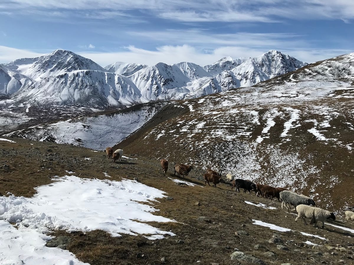 Altai Mountains - Mongolie