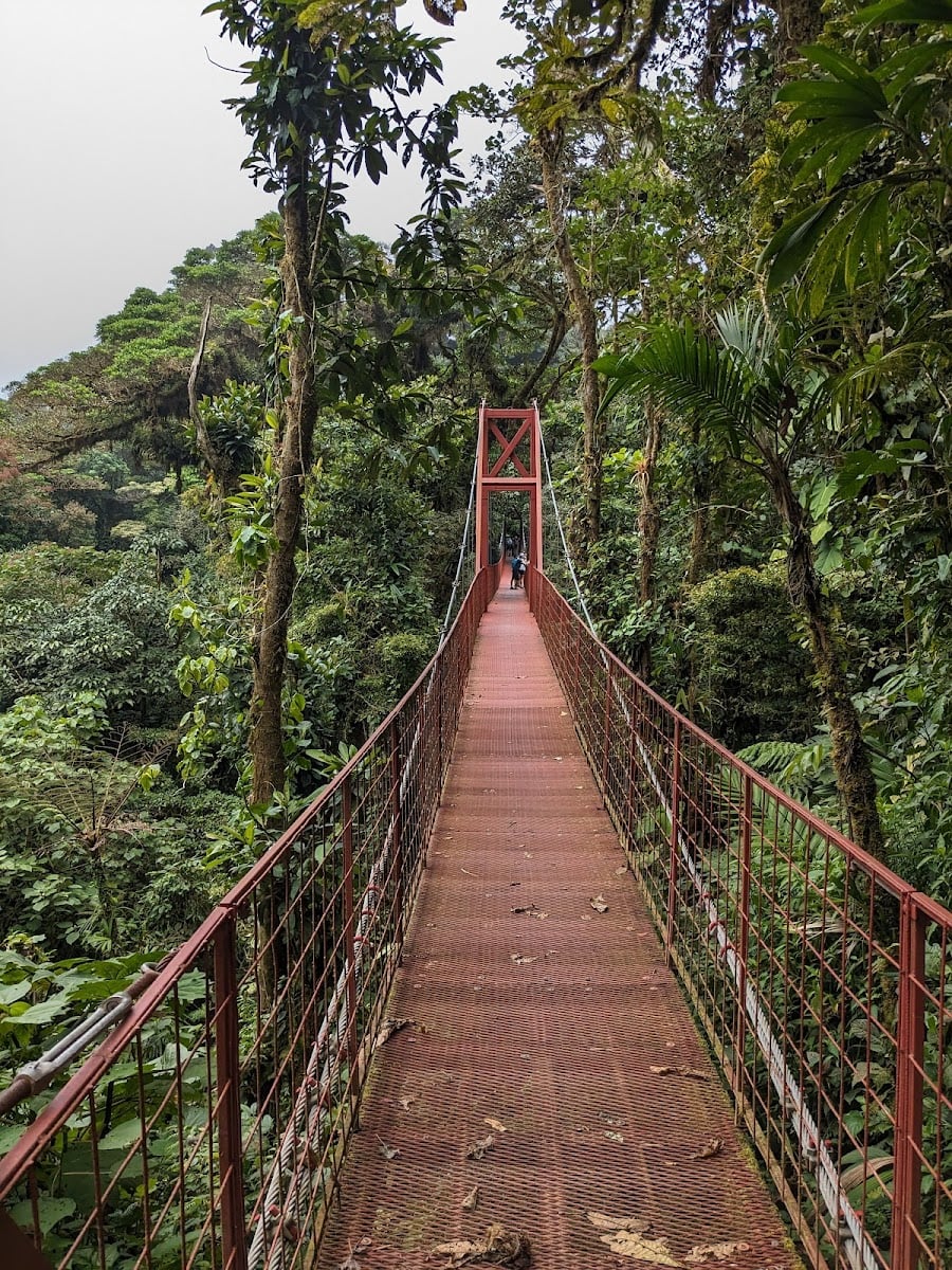 Monteverde Cloud Forest Biological Preserve