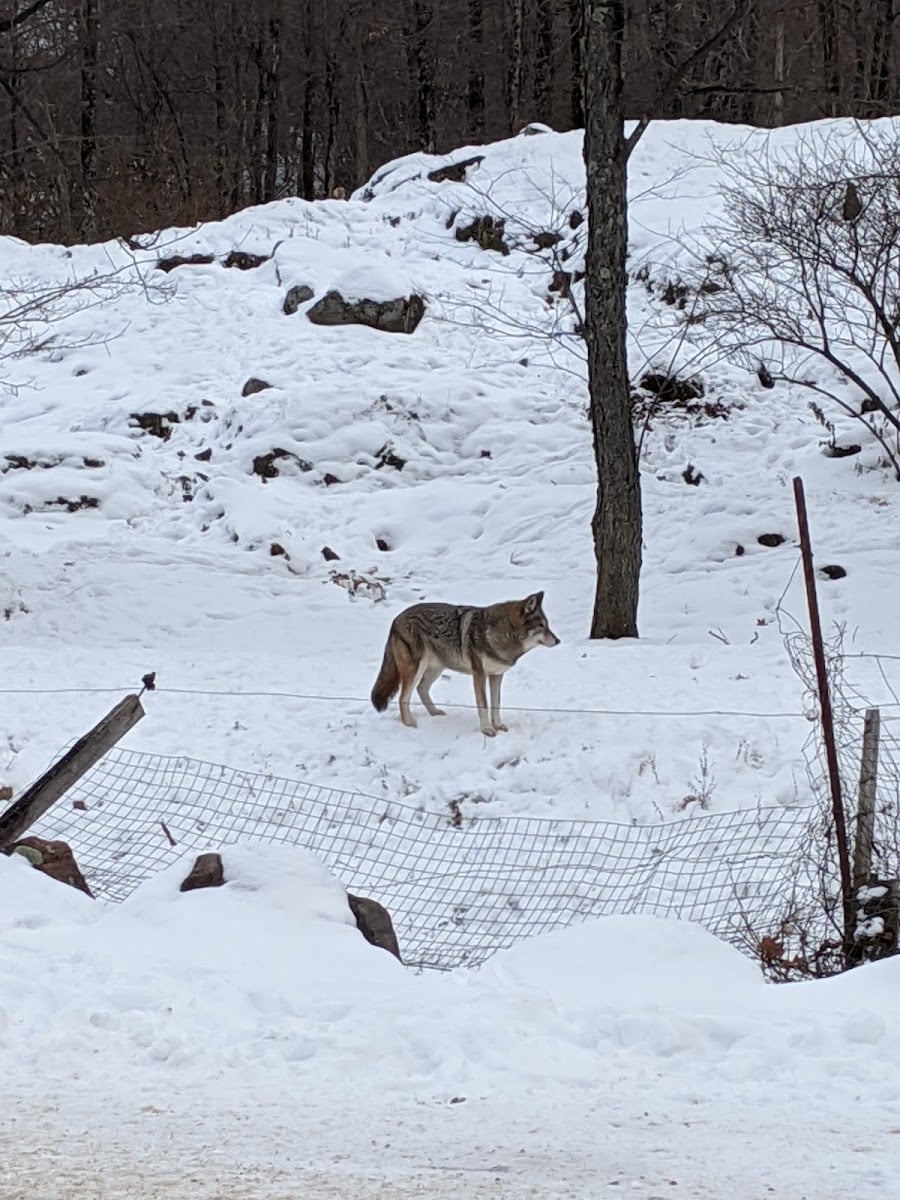 Omega Park