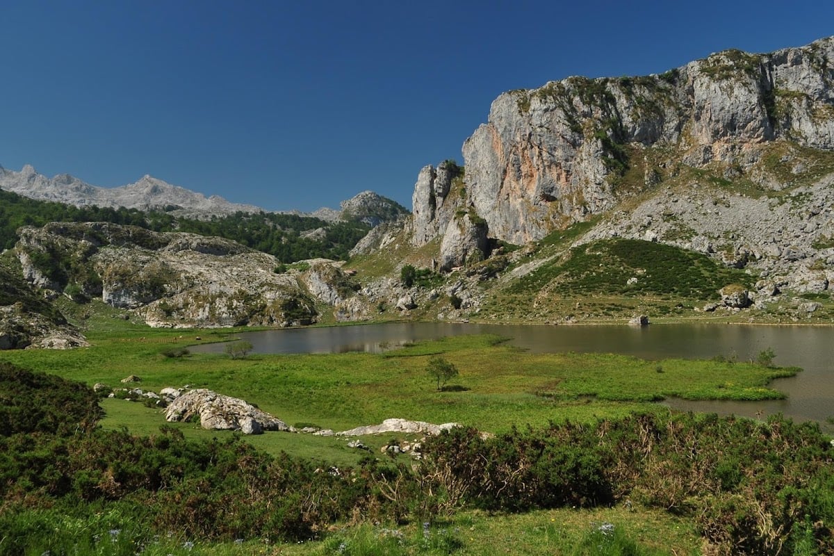 Picos de Europa