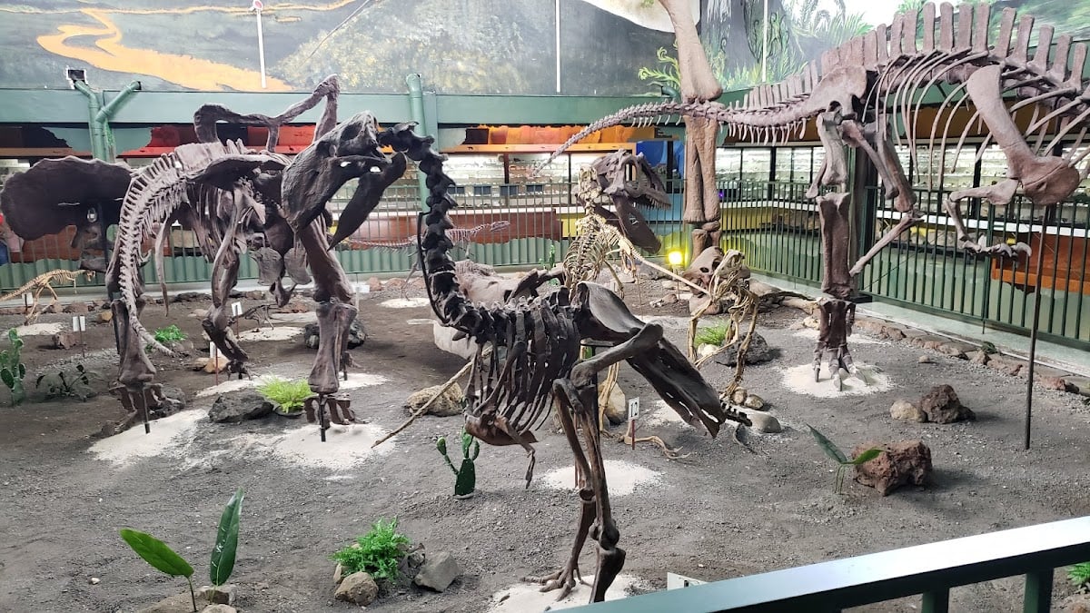 Museo de La Salle - San José, la Sabana