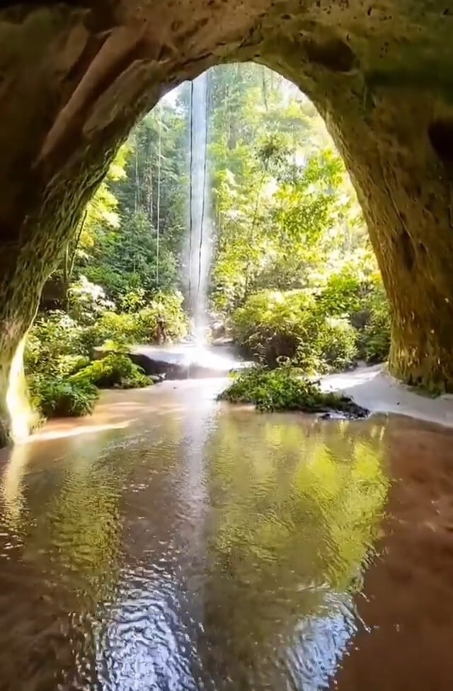 State of Amazonas