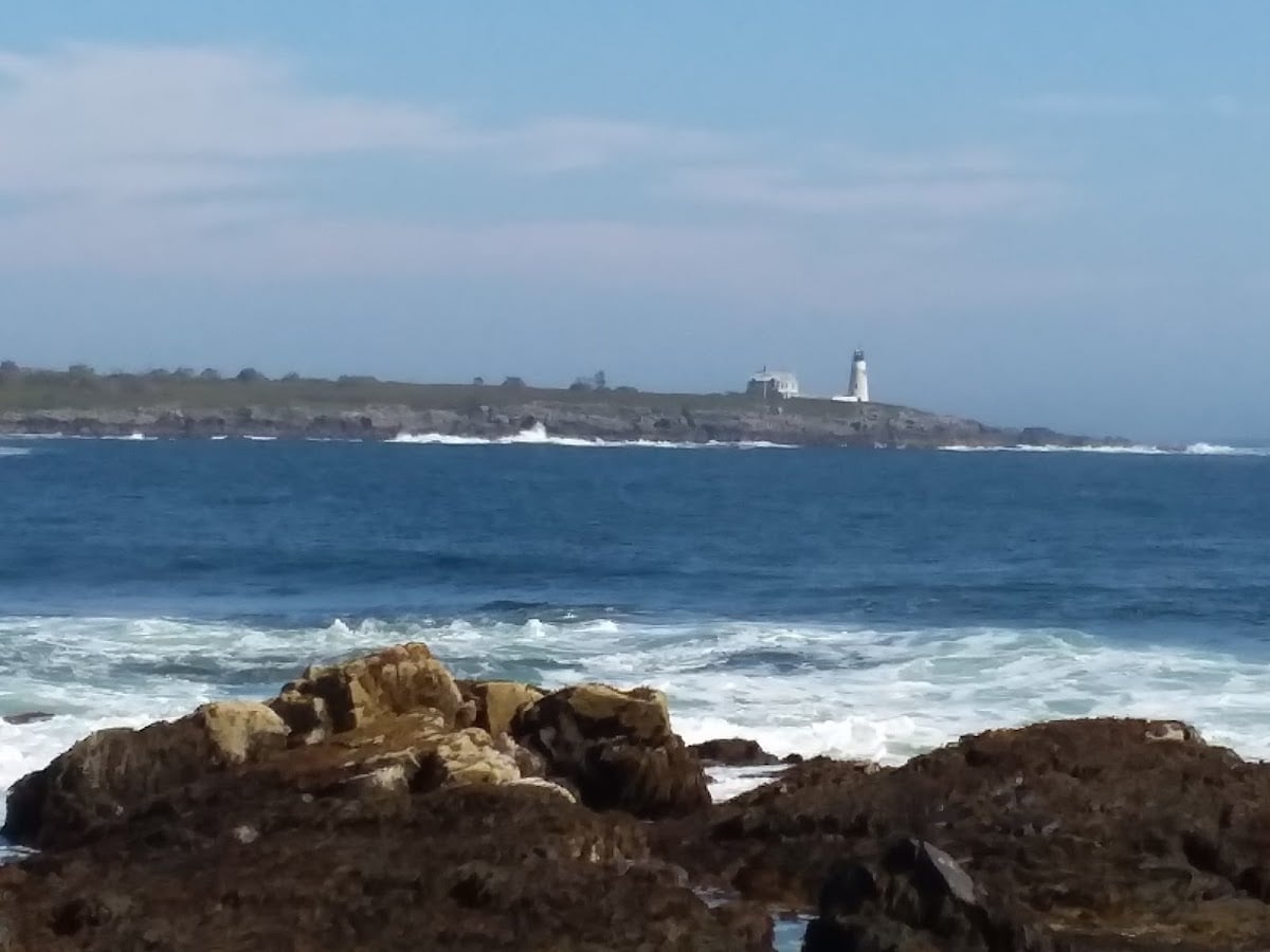 Wood Island Lighthouse