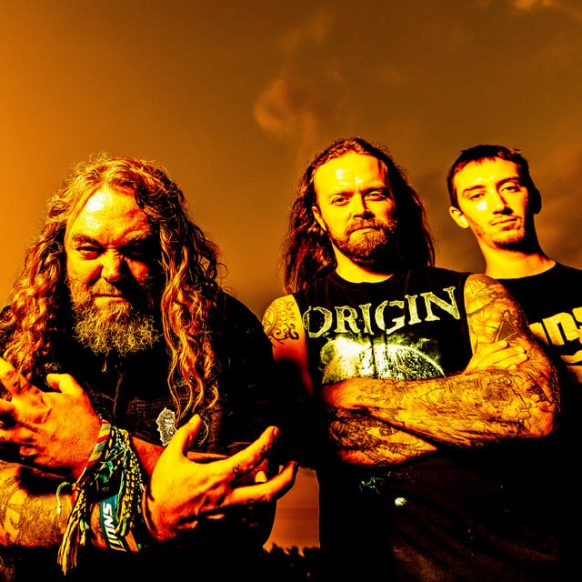 Soulfly - Artist