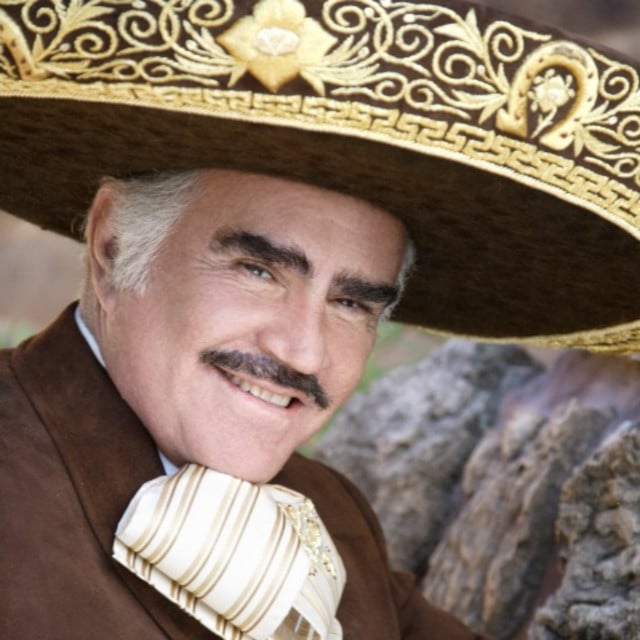 Vicente Fernández - Artist