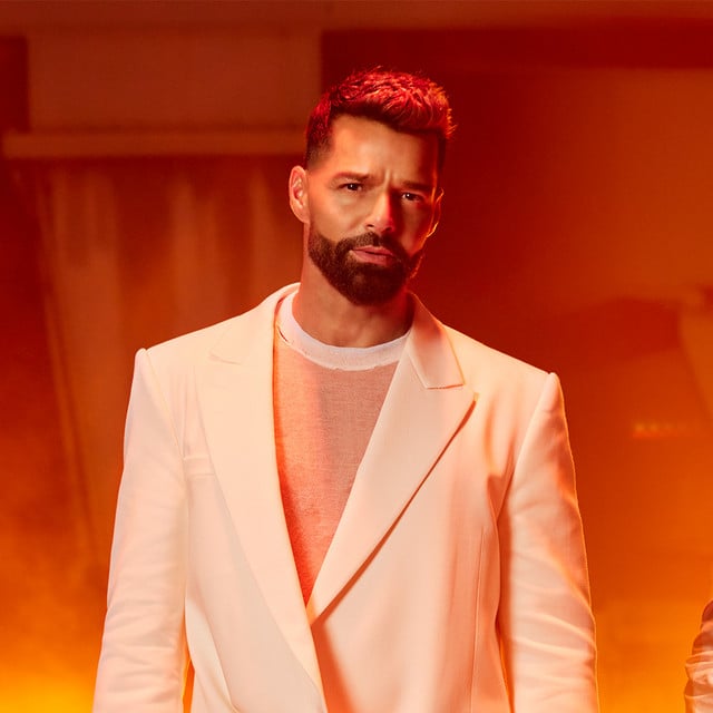 Ricky Martin - Artist