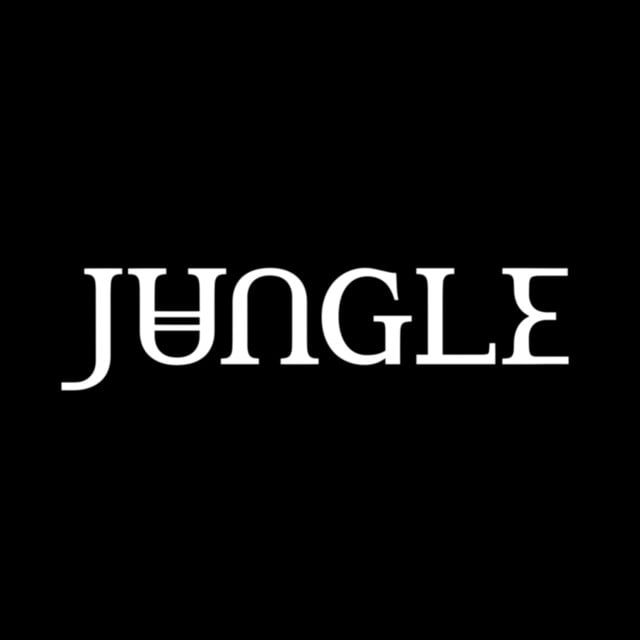 Jungle - Artist