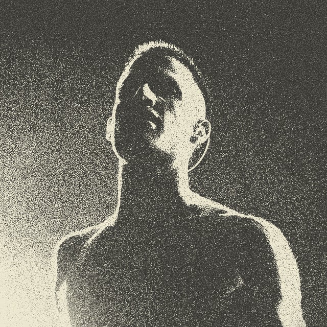 WOS - Artist
