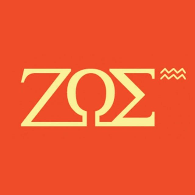 Zoé - Artist