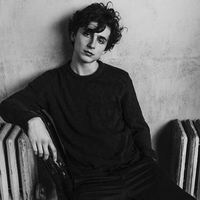 Timothée Chalamet - Actor