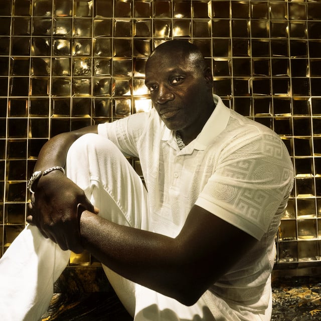 Akon - Artist