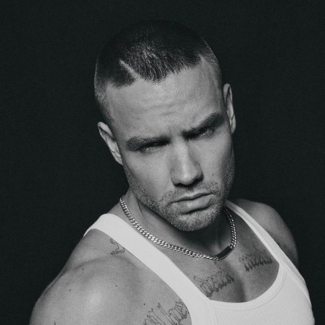 Liam Payne - Artist
