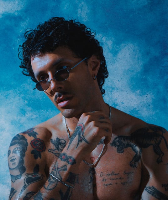 Cardellino - Artist