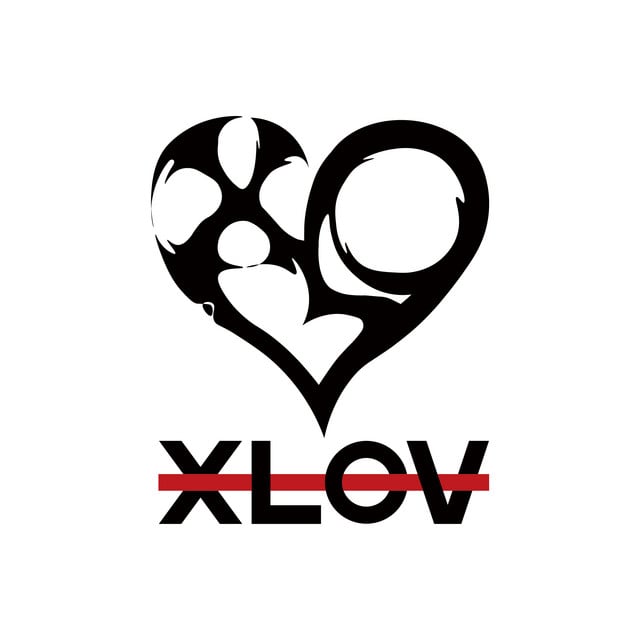 XLOV - Artist