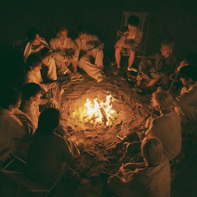 SEVENTEEN - Artist