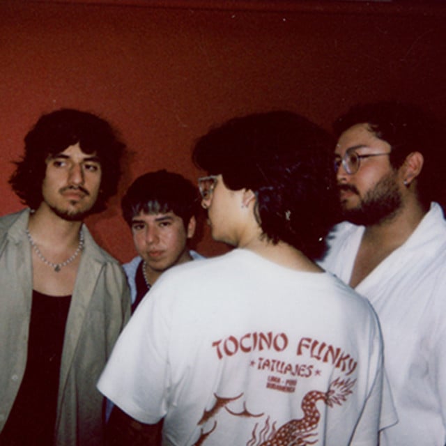 Los Niños Vudú - Artist