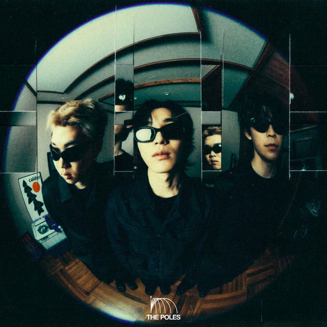 The Poles - Artist