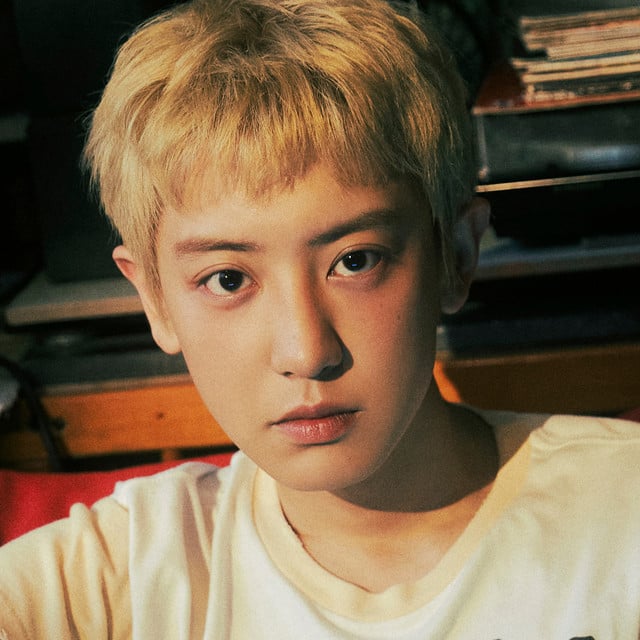 CHANYEOL - Artist