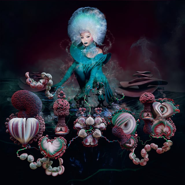 Björk - Artist