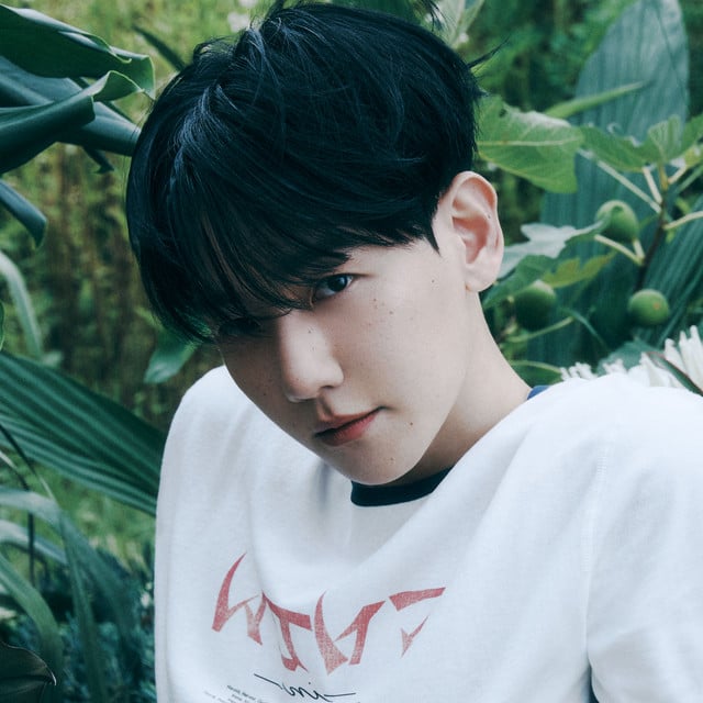 BAEKHYUN - Artist