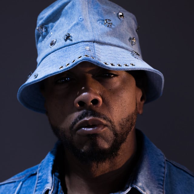 Timbaland - Artist