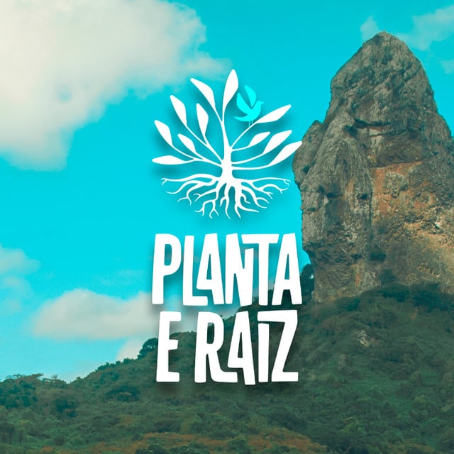 Planta E Raiz - Artist