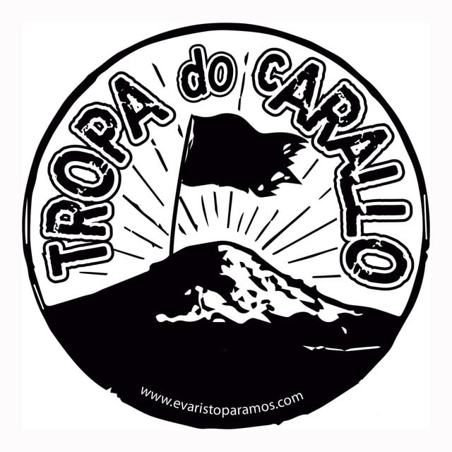 Tropa do Carallo - Artist
