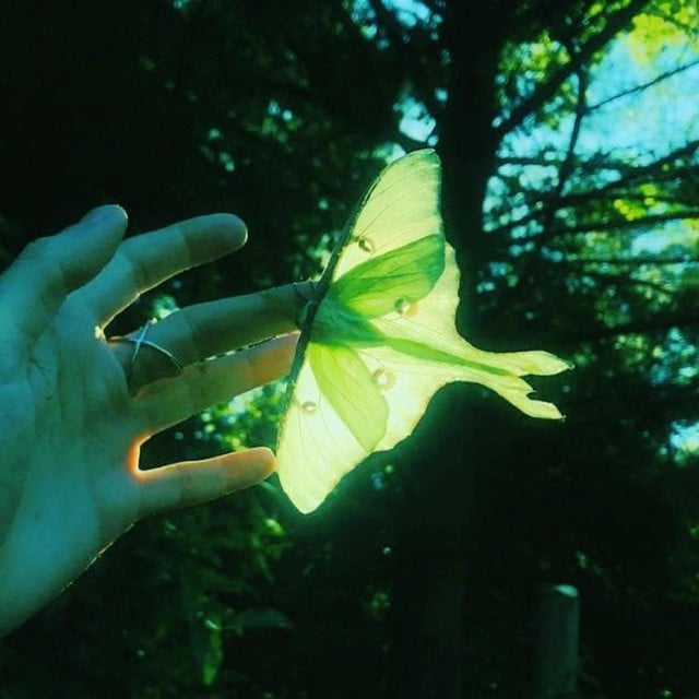 secret garden - Track · echo angel