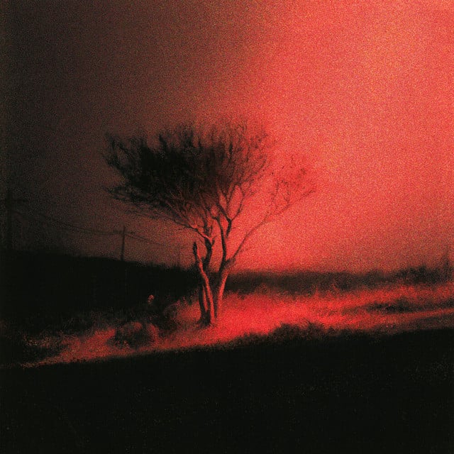 Piss In The Wind - Album · Joji
