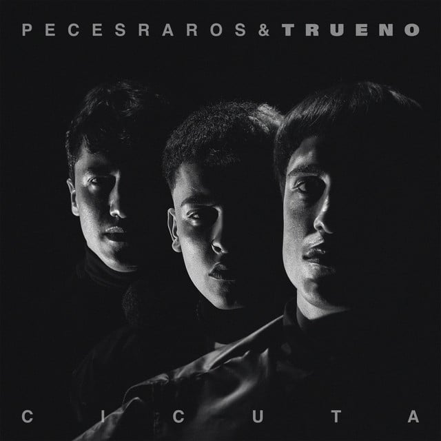 Cicuta - Remix - Track · Peces Raros, Trueno