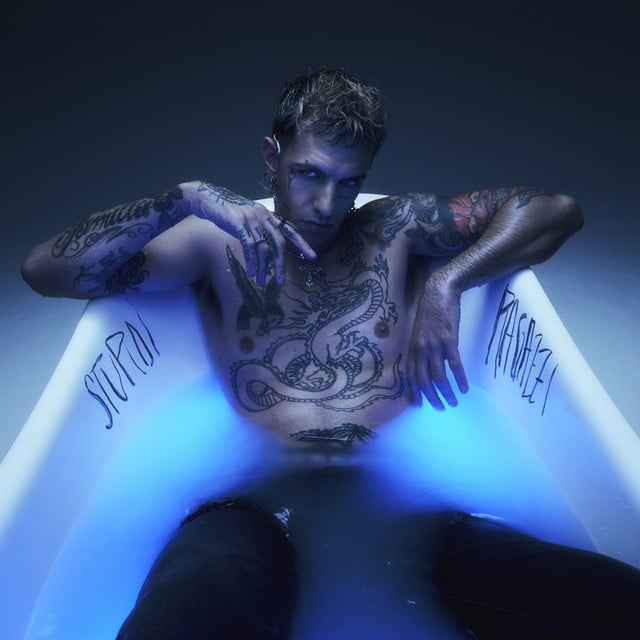 Stupidi Ragazzi - Track · Achille Lauro
