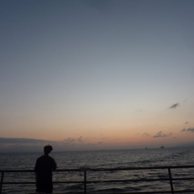Hallelujah - Album · Johnny Huynh