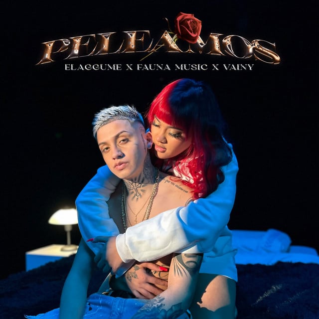PELEAMOS - Track · elaggume, Fauna Music, VAINY
