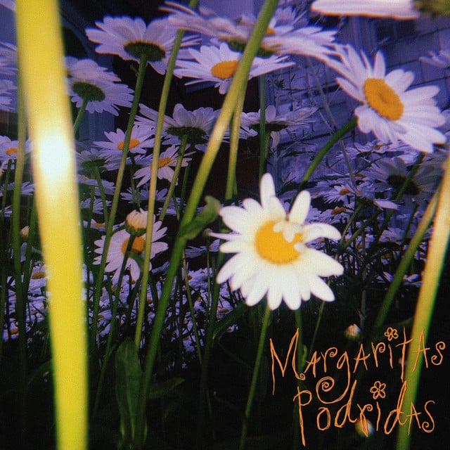 Margaritas Podridas - Album · Margaritas Podridas