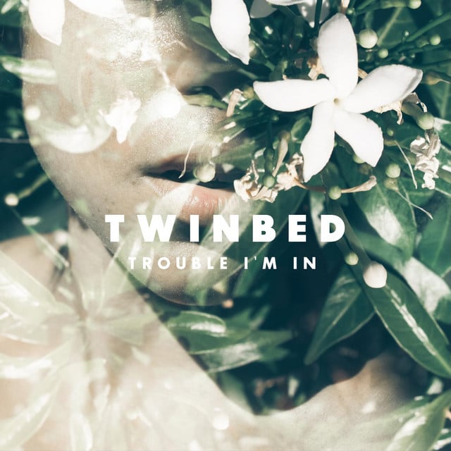 Trouble I'm In - Track · Twinbed