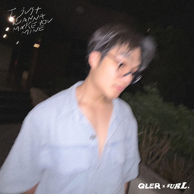 I Just Wanna Make You Mine - Album · QLER, SURL