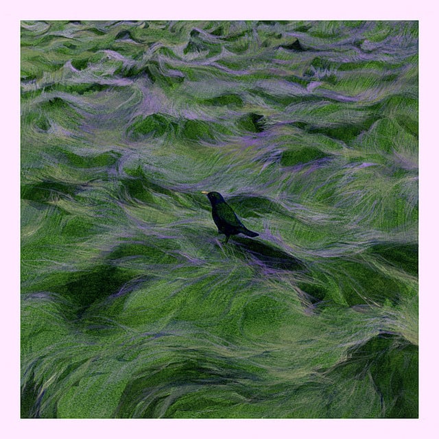 still - Track · Soombee