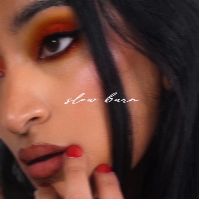 Slow Burn - Track · Janani K. Jha