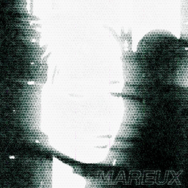 The Perfect Girl - Track · Mareux