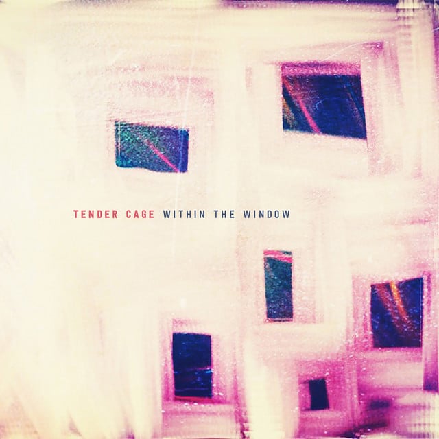 Tender Cage - Artist