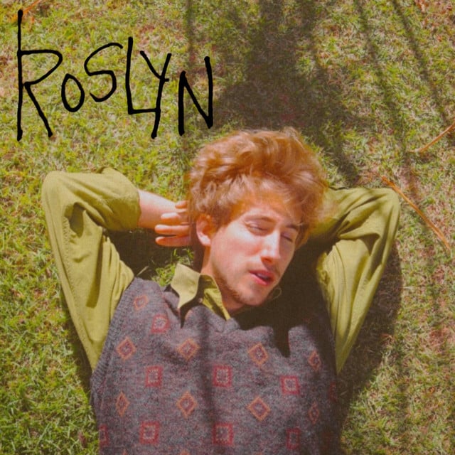 Roslyn - Track · Daniel Borgonovi, Dan borgo