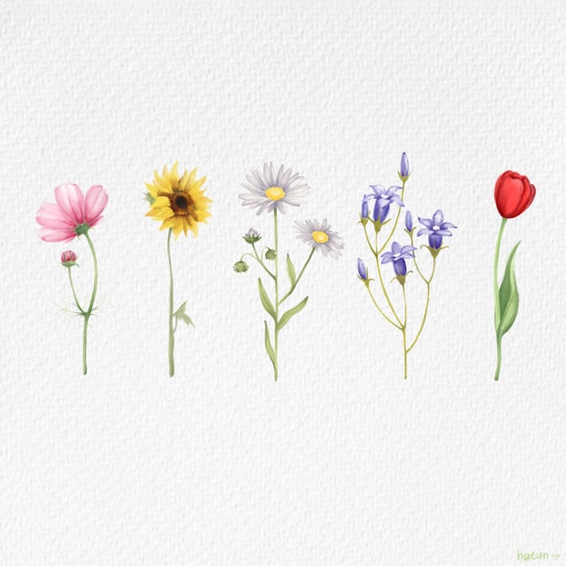 wildflower - Track · yung kai