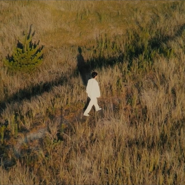 D.Van - Artist