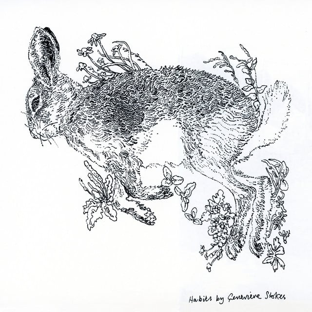 Habits - Track · Genevieve Stokes
