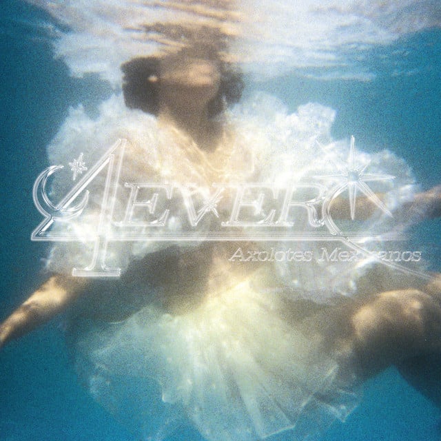 Amarre - Track · Axolotes Mexicanos