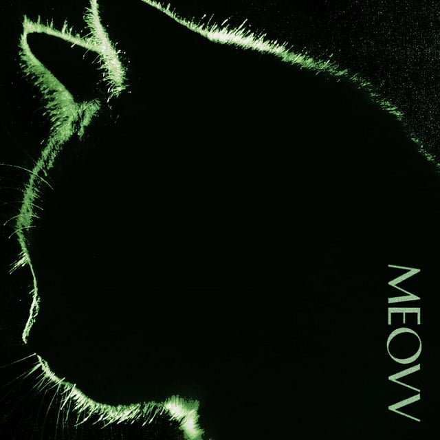 BODY - Track · MEOVV