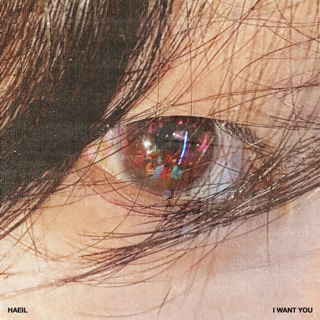 I Want You - Track · Haeil